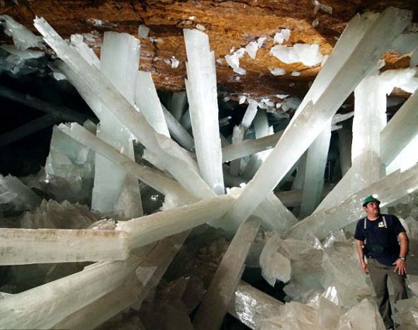 墨西哥晶洞中巨大的石膏晶体